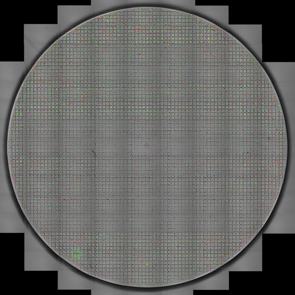 150x100μm microwells