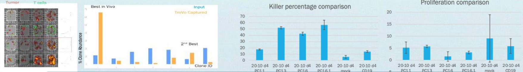 CAR-T construct screening comparison