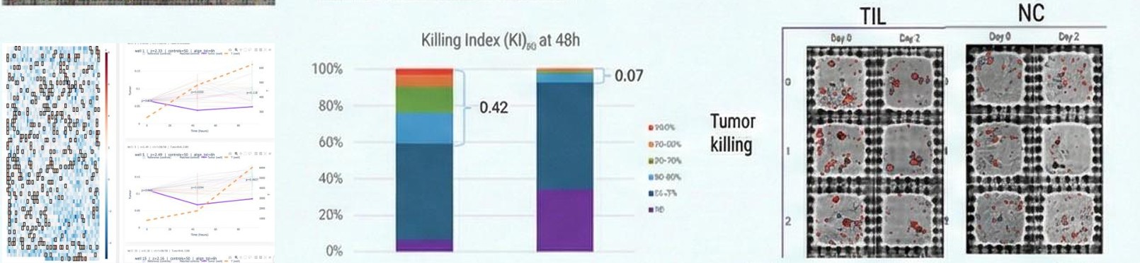 Killing index at 48h