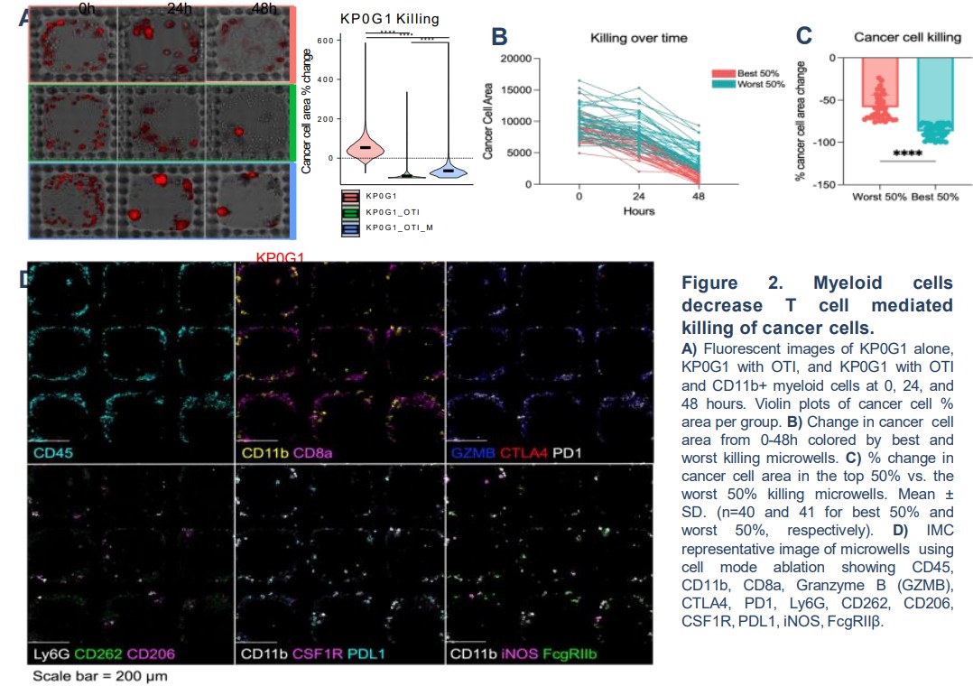 KP0G1 tumor killing curves