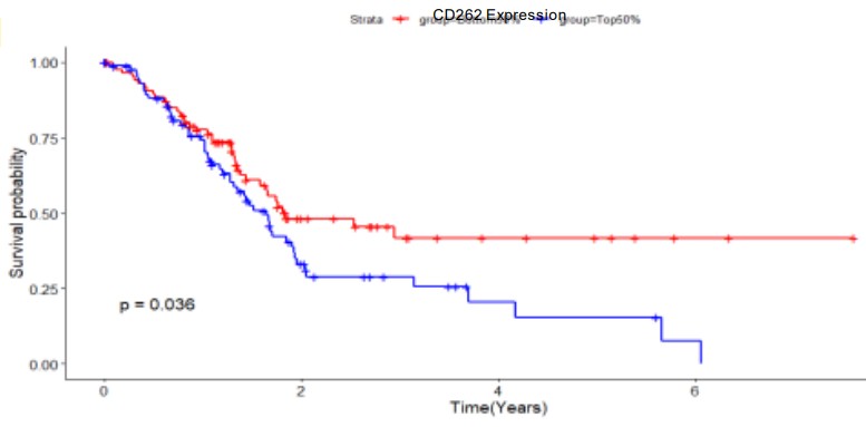CD262 expression and patient survival